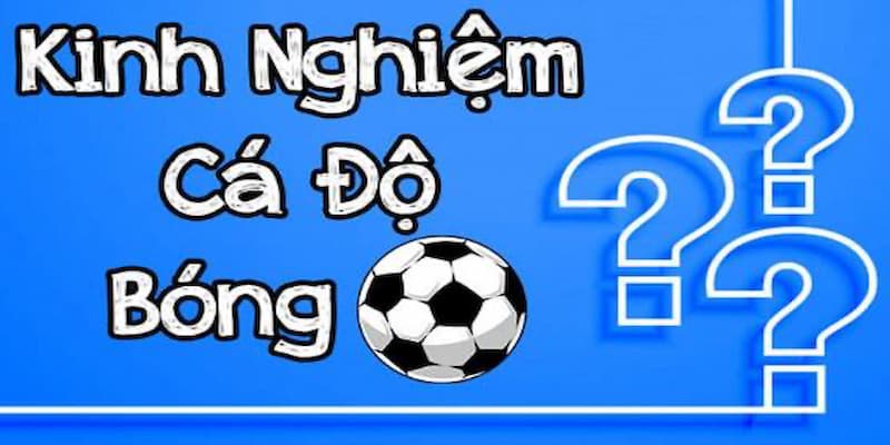 Người chơi có rất nhiều lợi ích khi tham gia cá cược bóng đá EE88